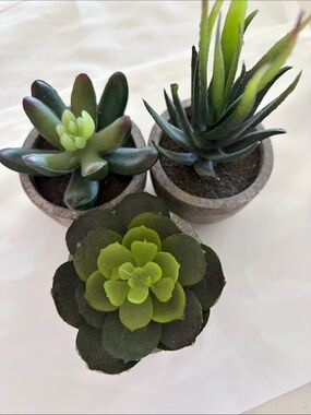 Artificial Green Succulent Trio in Gray Pots - Home Accents